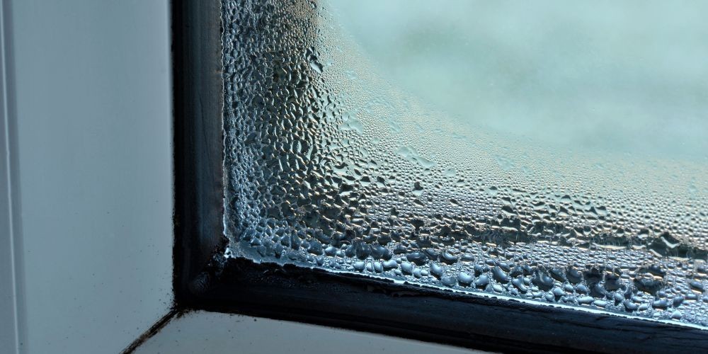 Condensation, damp or mould